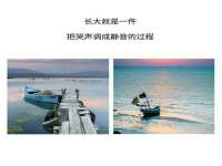 保定安双商贸有限公司