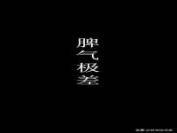 保定安双商贸有限公司