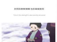 保定安双商贸有限公司