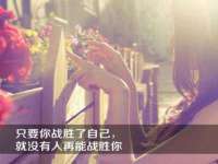 保定安双商贸有限公司