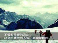 保定安双商贸有限公司