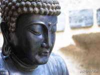 保定安双商贸有限公司