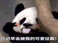 保定安双商贸有限公司