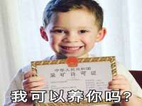 保定安双商贸有限公司