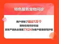 保定安双商贸有限公司