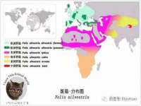 保定安双商贸有限公司