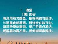 保定安双商贸有限公司