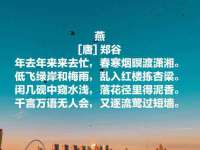 保定安双商贸有限公司