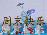 保定安双商贸有限公司