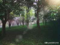保定安双商贸有限公司