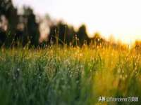 保定安双商贸有限公司