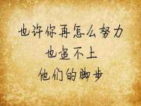 保定安双商贸有限公司