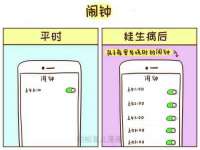 保定安双商贸有限公司