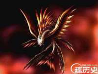 保定安双商贸有限公司
