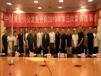 保定安双商贸有限公司
