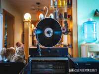 保定安双商贸有限公司