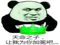 保定安双商贸有限公司