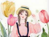 保定安双商贸有限公司