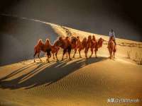 保定安双商贸有限公司